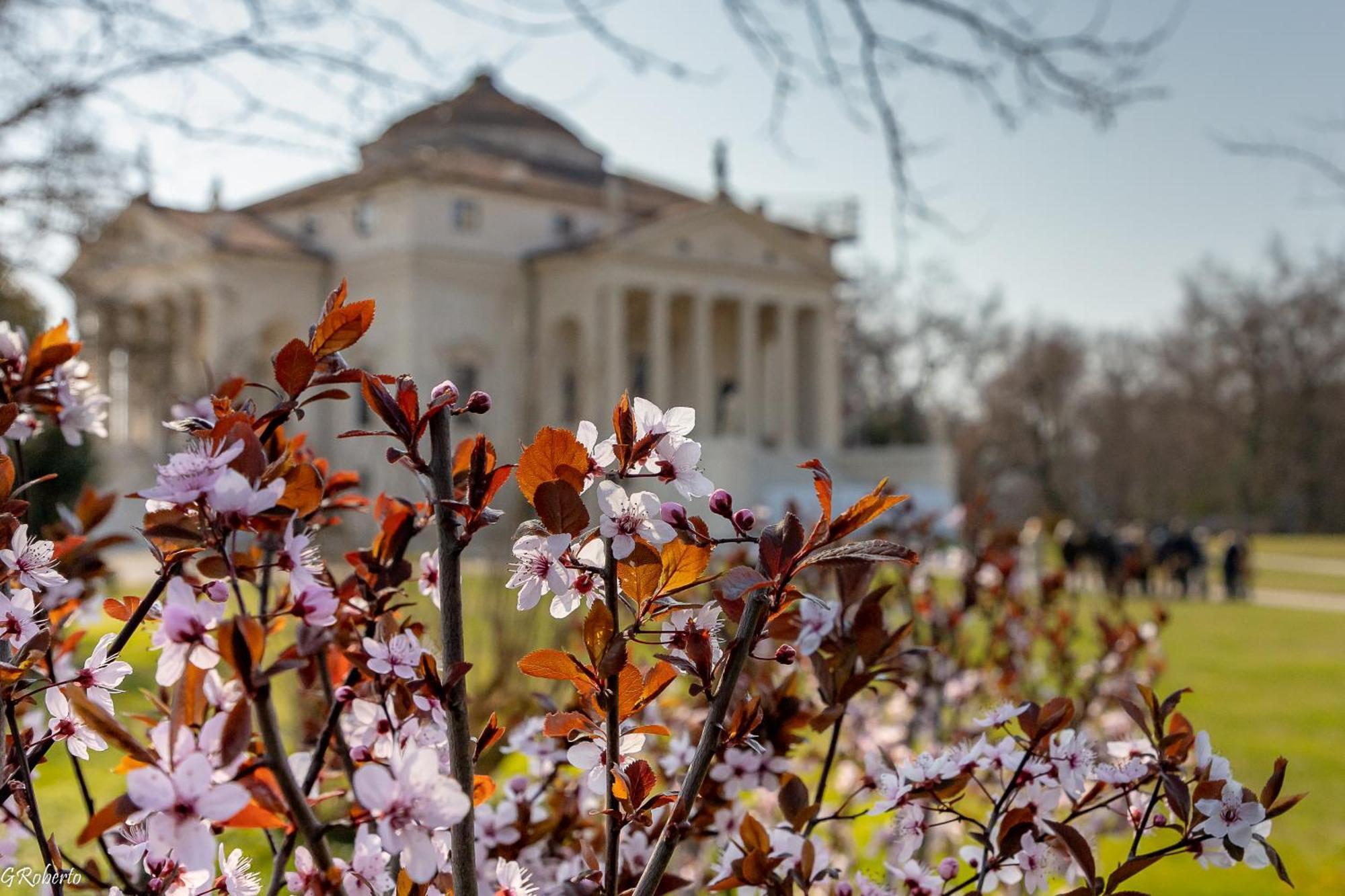 Appartamentopalladio140 비첸차 외부 사진